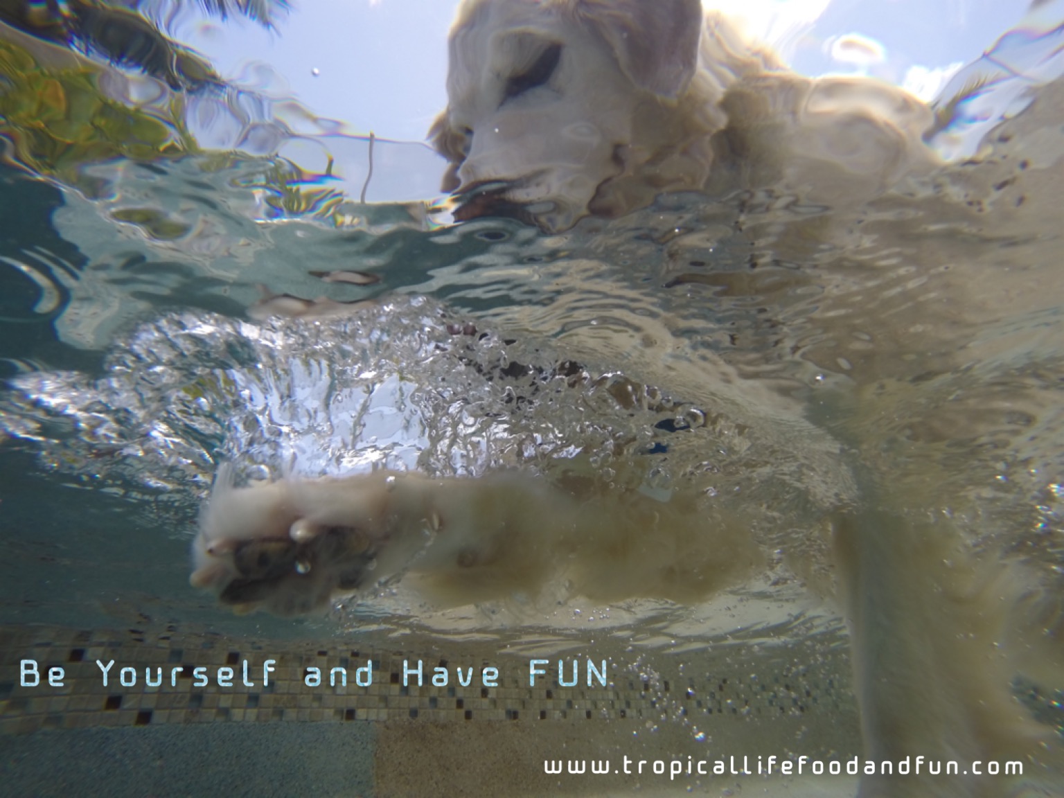 Be Yourself And Have Fun