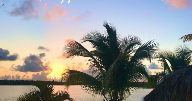 Downsizing for a Tropical Lifestyle