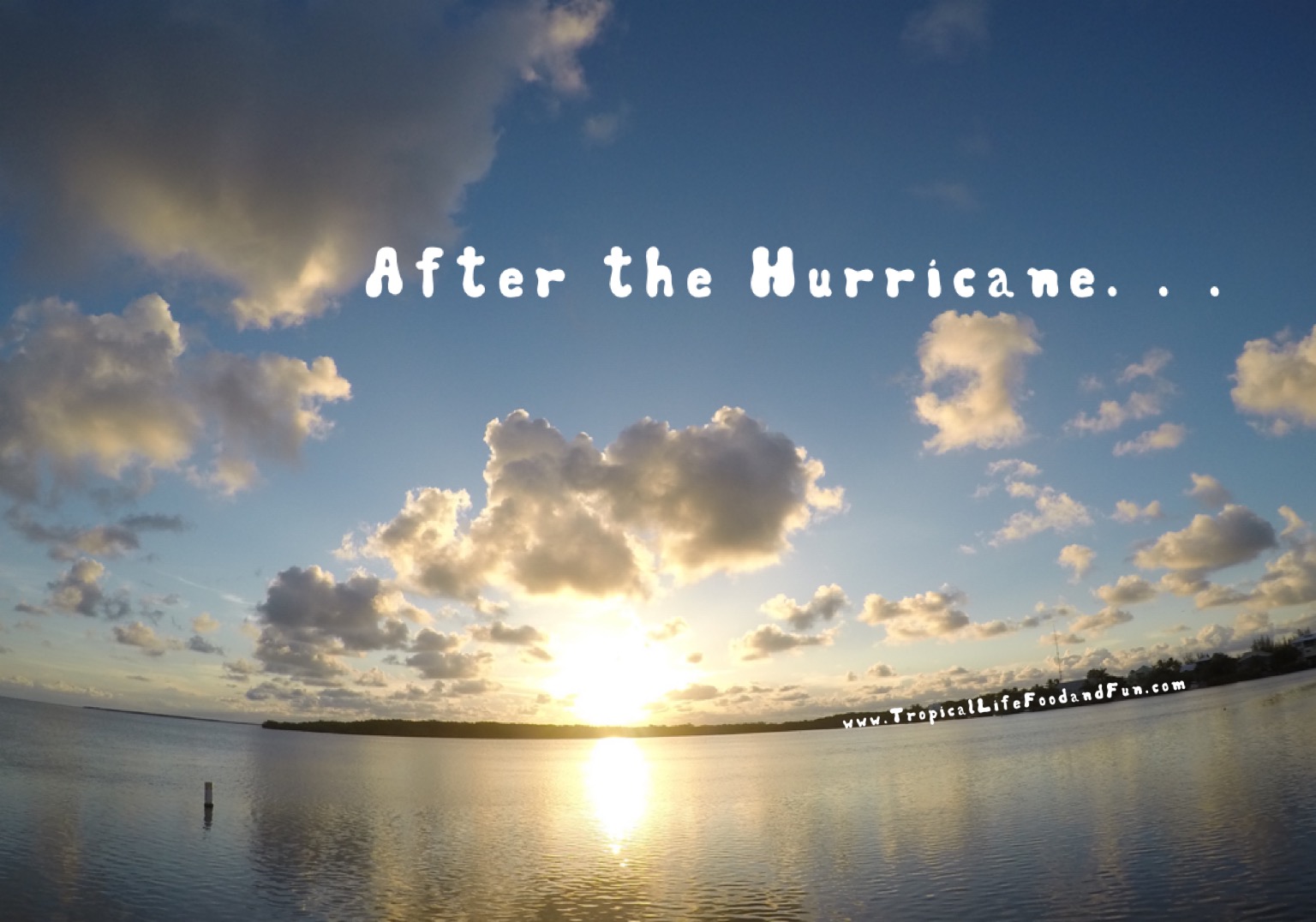 We Dodged Irma and Learned Something. . . . .