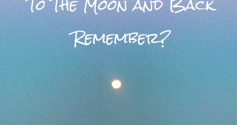 To The Moon and Back, Remember?