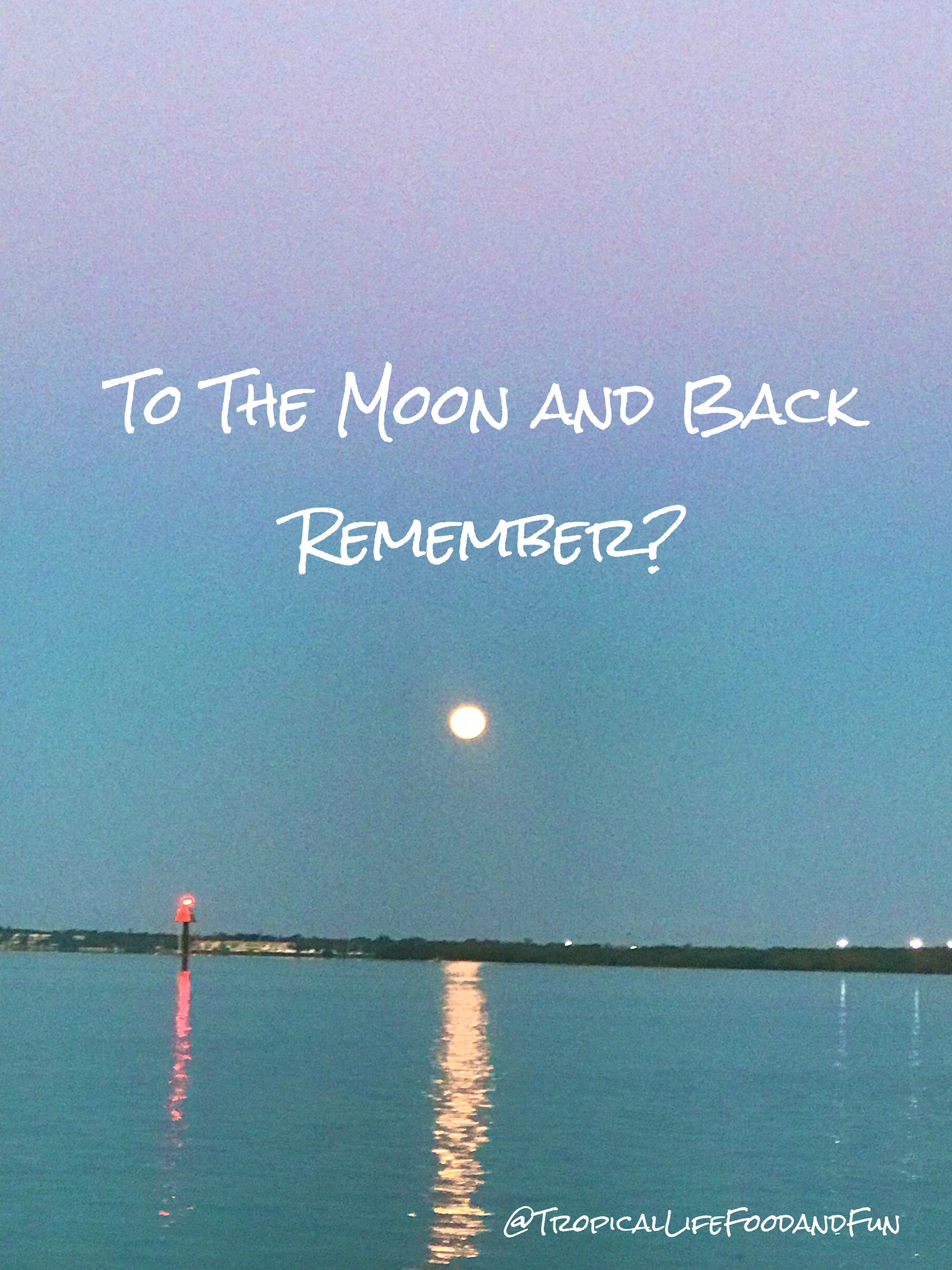 To The Moon and Back, Remember?