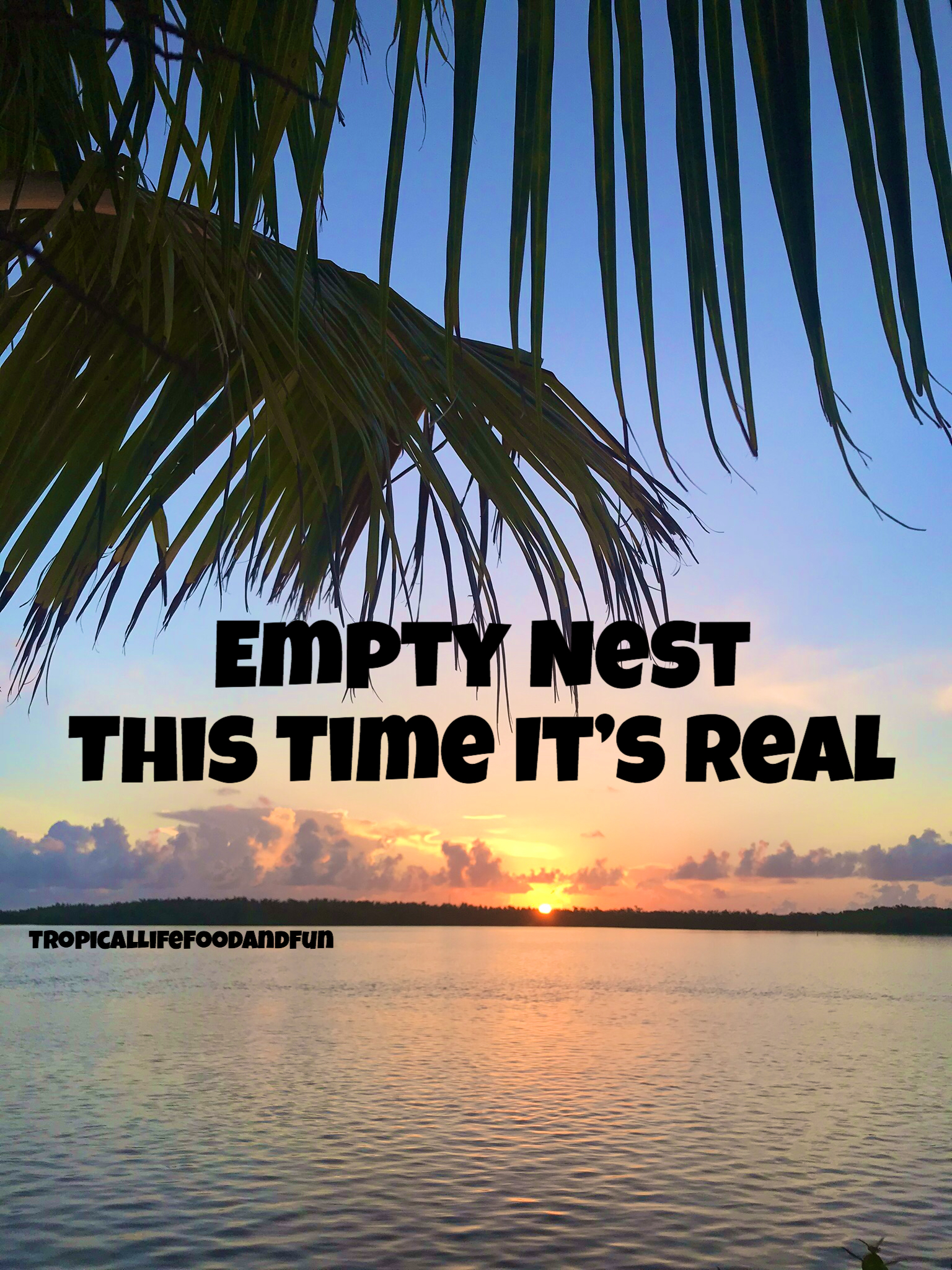 Enjoying Your Empty Nest